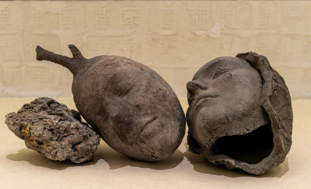 ראשים מדברים 