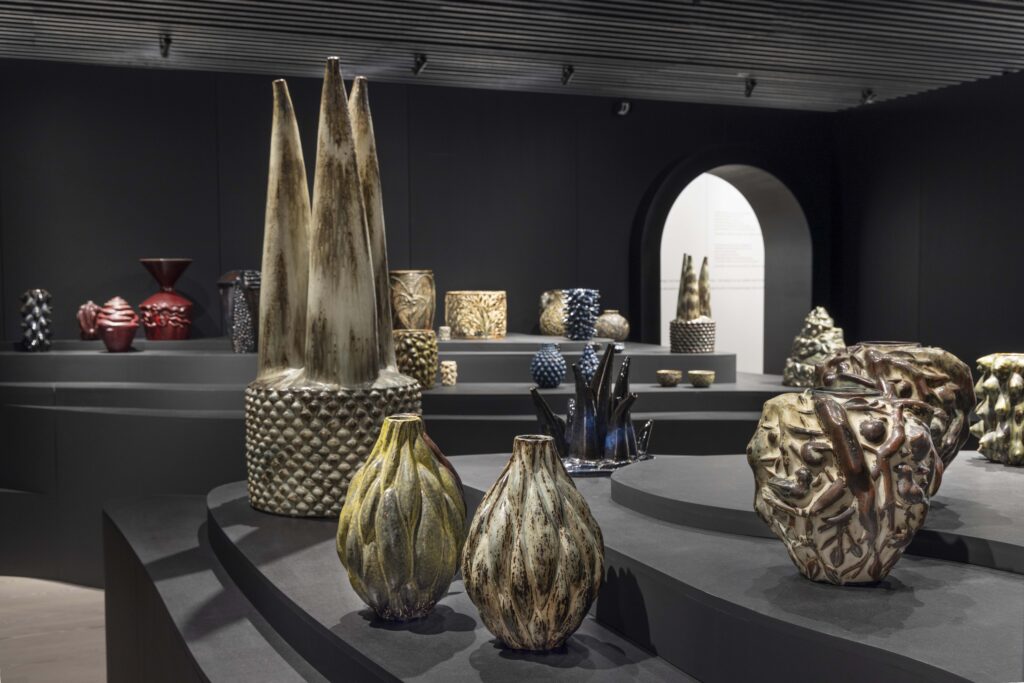 מהפכן צורות וזיגוגים