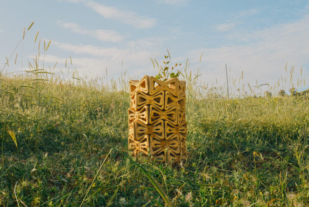 גם שתיל צריך בית