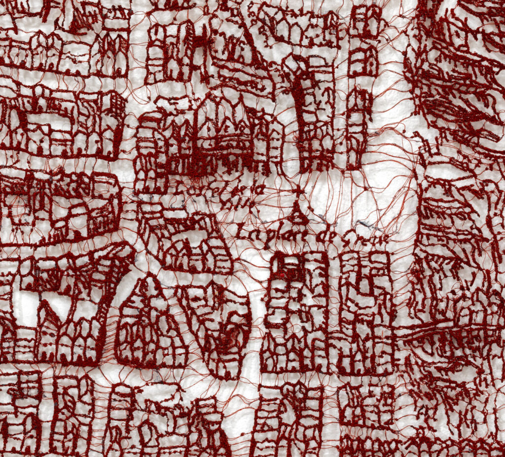 צילו של חמור