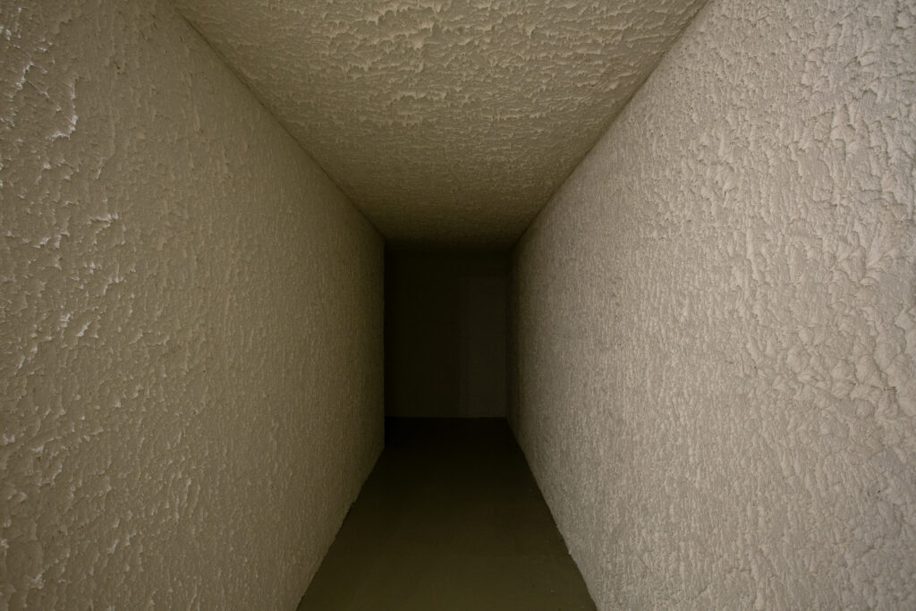 חיים בַּצֵל